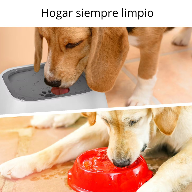 CUENCO DE AGUA PARA MASCOTA
